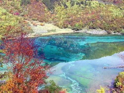 关系硬!哈姆回应解雇:我和珍妮、佩林卡同一阵线引热议